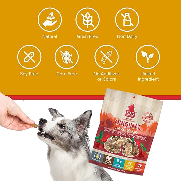 PLATO TURKEY REAL STRIPS NATURAL DOG TREATS – REAL MEAT – AIR DRIED – MADE IN THE USA – TURKEY & CRANBERRY, 3 OUNCES