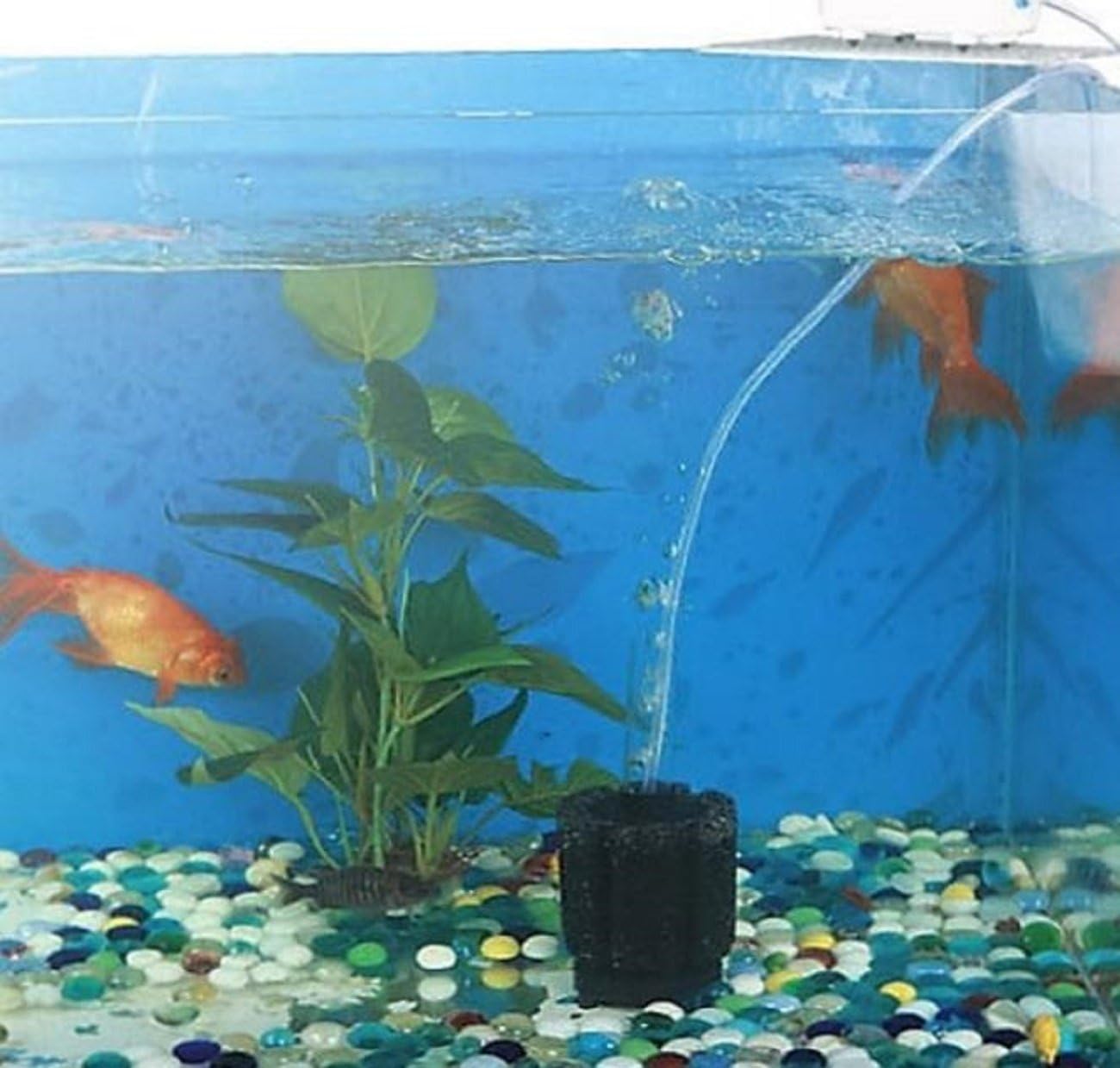 Amazon 水槽 スポンジ フィルター 投げ込み 型 3個 セット エア ポンプ アクアリウム 熱帯魚 淡水魚 海水魚 古代魚 金魚メダカ 等 フィルター 通販 Amazon 水槽 スポンジ フィルター 投げ込み 型 3個 セット エア ポンプ アクアリウム 熱帯魚 淡水魚 海水魚 古代魚 金魚メダカ 等 フィルター 通販