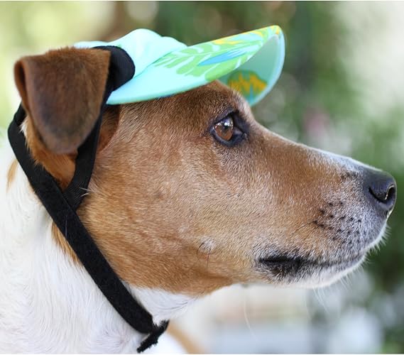 Puppy Visor on Sale, 54% OFF | www 