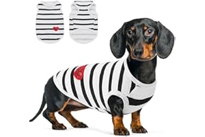 Queenmore Small Dog Shirt,Soft Breathable Dog Shirt for Dogs Cats Boy Girl,Pet Clothes for All Season,Breathable Lightweight Pet Tshirt for Frenchie, Dachshund, Yorkie