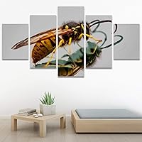 SIGNWIN 5 Panel Canvas Wall Art Modern Art Bee Butterfly Colorful Contemporary Insects Multicolor Photography for Home Decorations Ready to Hang - 60