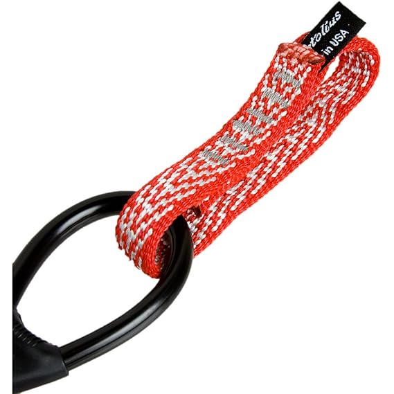 metolious dell