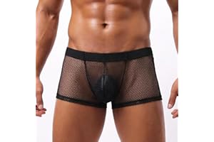 Men's Sexy See Through Mesh Boxer Briefs Low Waist Comfortable Breathable Close Fitting Cool Valentine's Day
