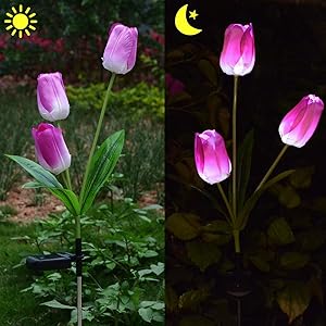 Outdoor Solar Tulip Led Flower Garden Stake Light, Homeleo Yard Decorative Light Up Tulip Flowers, Decorative Solar Patio Lawn Lamp, Path Landscape Inground Tulip Flowers(Purple)