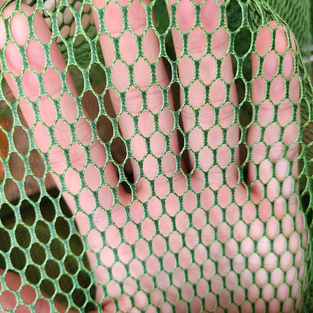 Daxin Double Stainless Steel Rings 5 Layers Collapsible Fish Care Net, Folding Shrimp Minnow Fishing Trap Dip Net, Cage 50kg Load : Sports & Outdoors