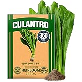 HOME GROWN Culantro Seeds, 360 Seeds, Eryngium foetidum | High Germination, Heirloom, Non-GMO | 360 Seeds | Robust Flavor | Thrives in Heat | Indoor/Outdoor | Cilantro Substitute