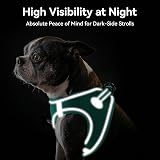Joytale XXS Step In Dog Harness Teal Reflective Breathable Mesh view 5