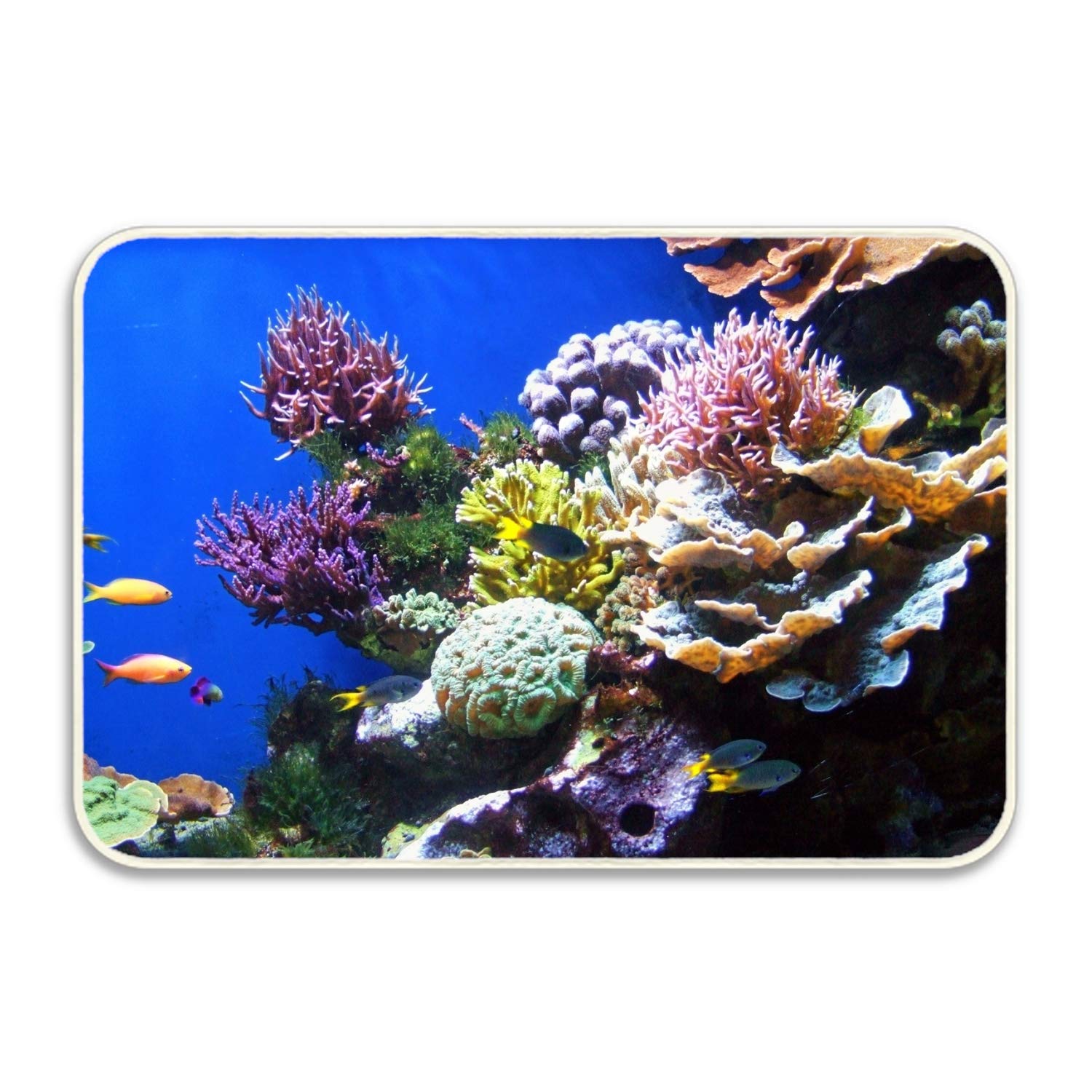 Amazon Com Australia Coral Reef Doormat Entrance Mat Floor Mat