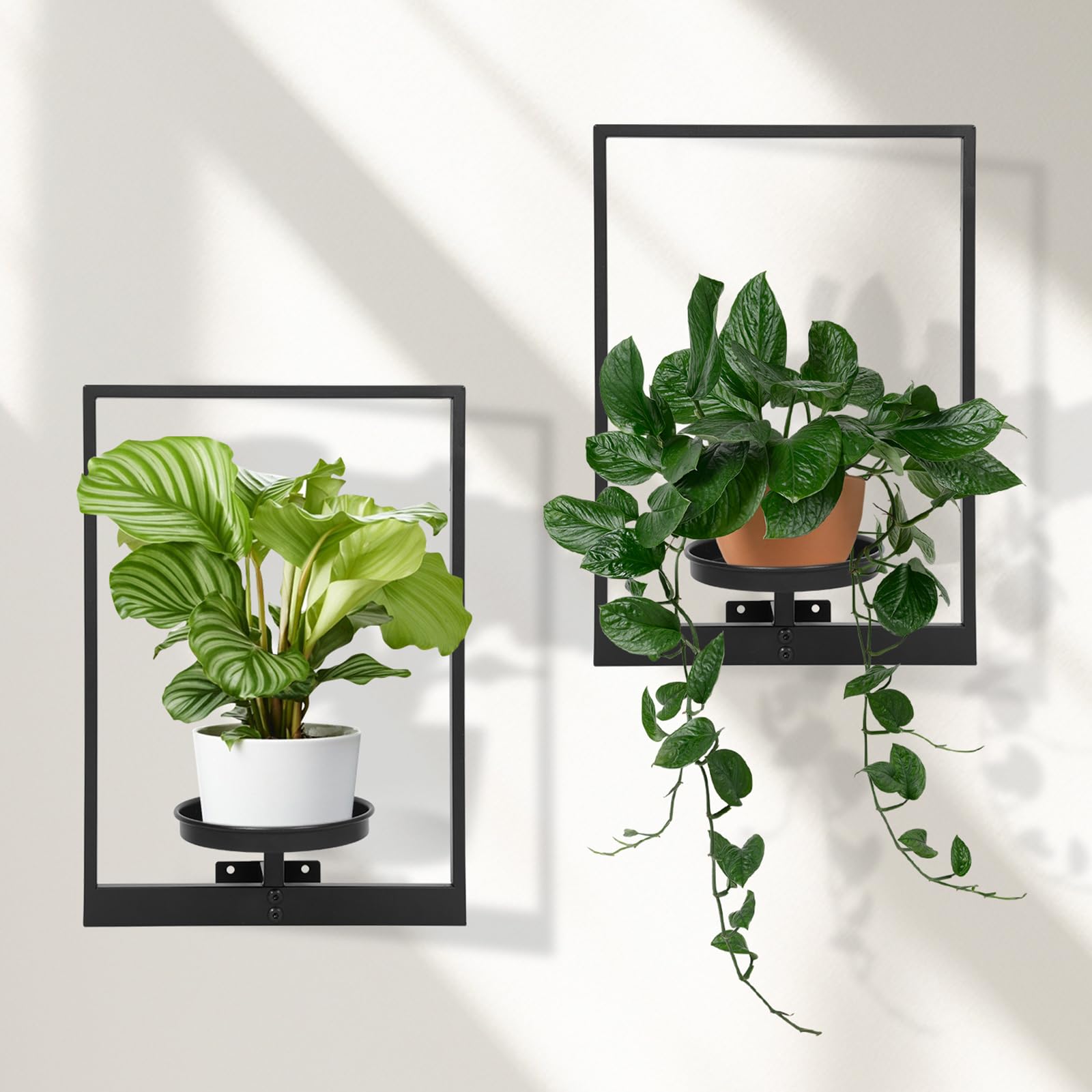Photo 1 of storenization Wall Plant Holder Window Plant Shelves Set of 2, Wall Planters for Indoor Plants - Premium Metal Hanging Plant Holder for Indoor Outdoor Decor