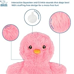 Best Pet Supplies Interactive Squeaky Dog Chew