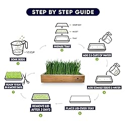 Cat Grass Refills for Self Watering Cat Grass Kit