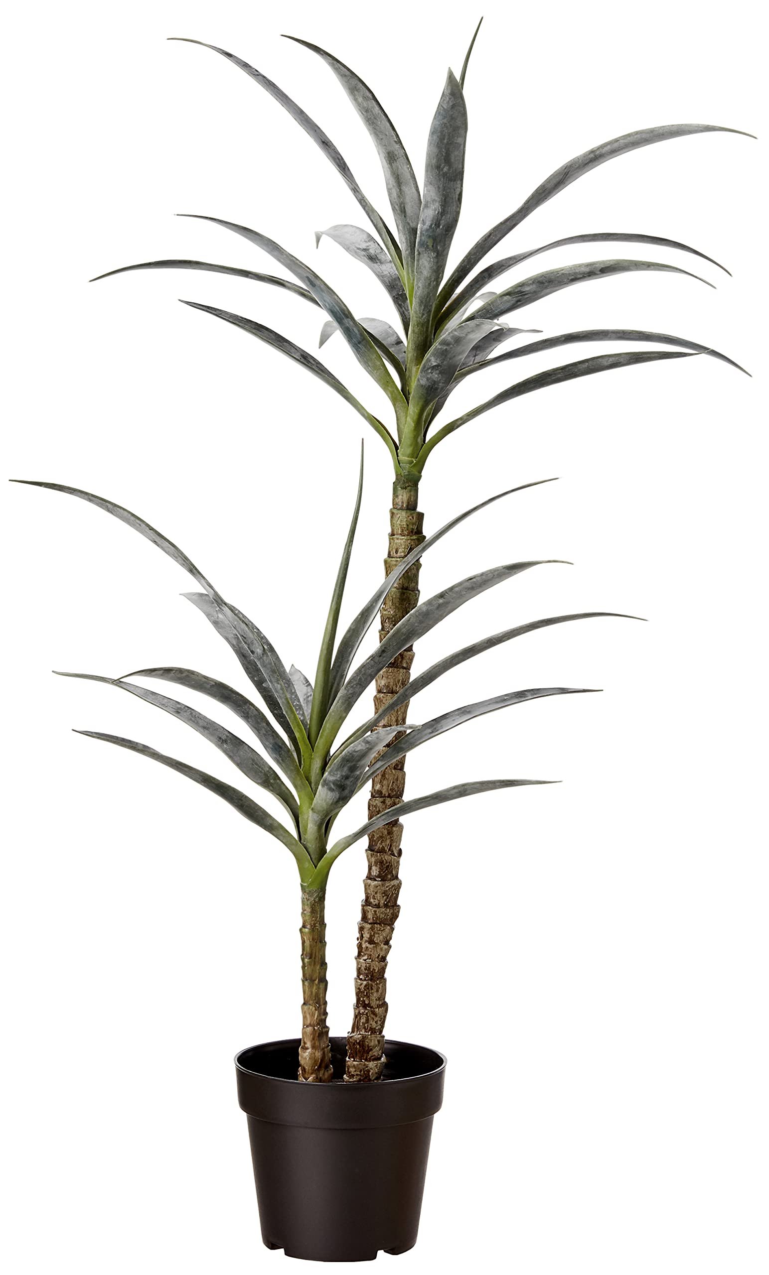 Amazon Basics Artificial Yucca Plant with Plastic