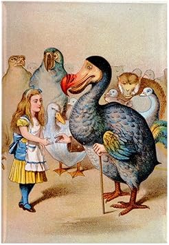 Amazon Co Jp Cafepress 長方形マグネット アリスとドードー鳥 2インチ X 3インチ 冷蔵庫用マグネット ホーム キッチン