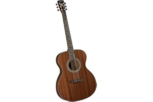 Bristol by Blueridge 6 String Bristol BM-15S Solid Top 000 Acoustic Guitar