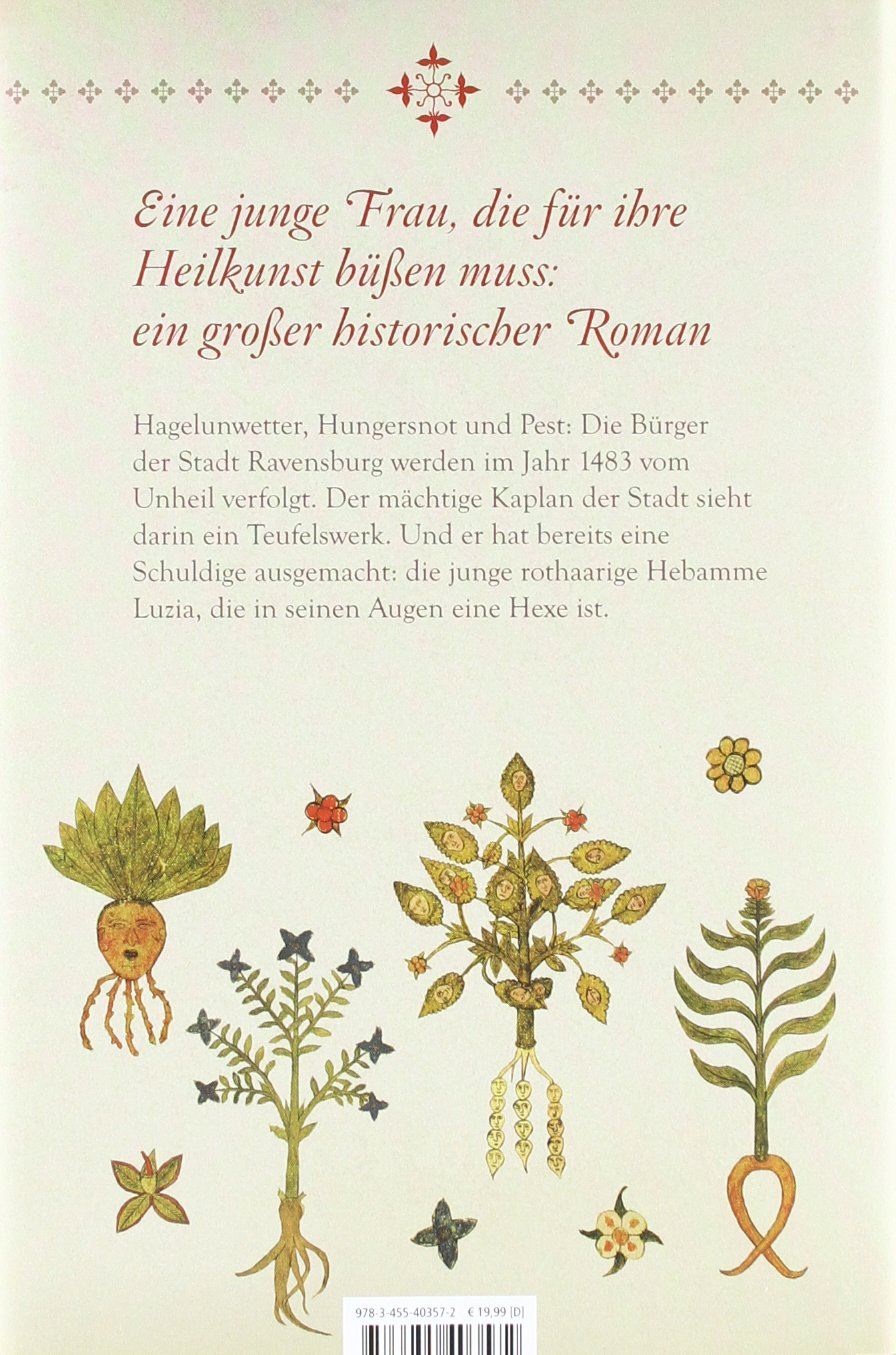 Seelenfeuer Haller Cornelia Amazon De Bucher