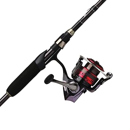 abu garcia spinning combo