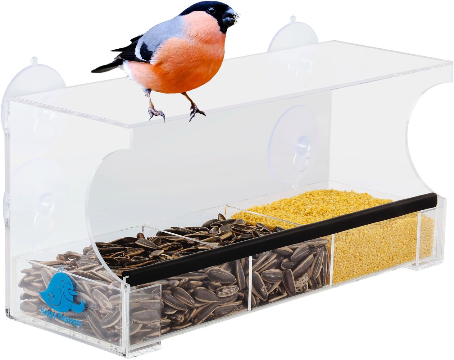 Bird water and seeds feeder transparent feeding station for small birds window suction