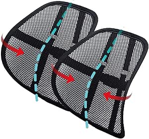 best lumbar support for car amazon