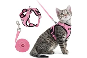 BBBin Cat Harness and Leash Set - Escape Proof Soft Adjustable Vest with Breathable Comfort and Safety Buckles - Fits Average