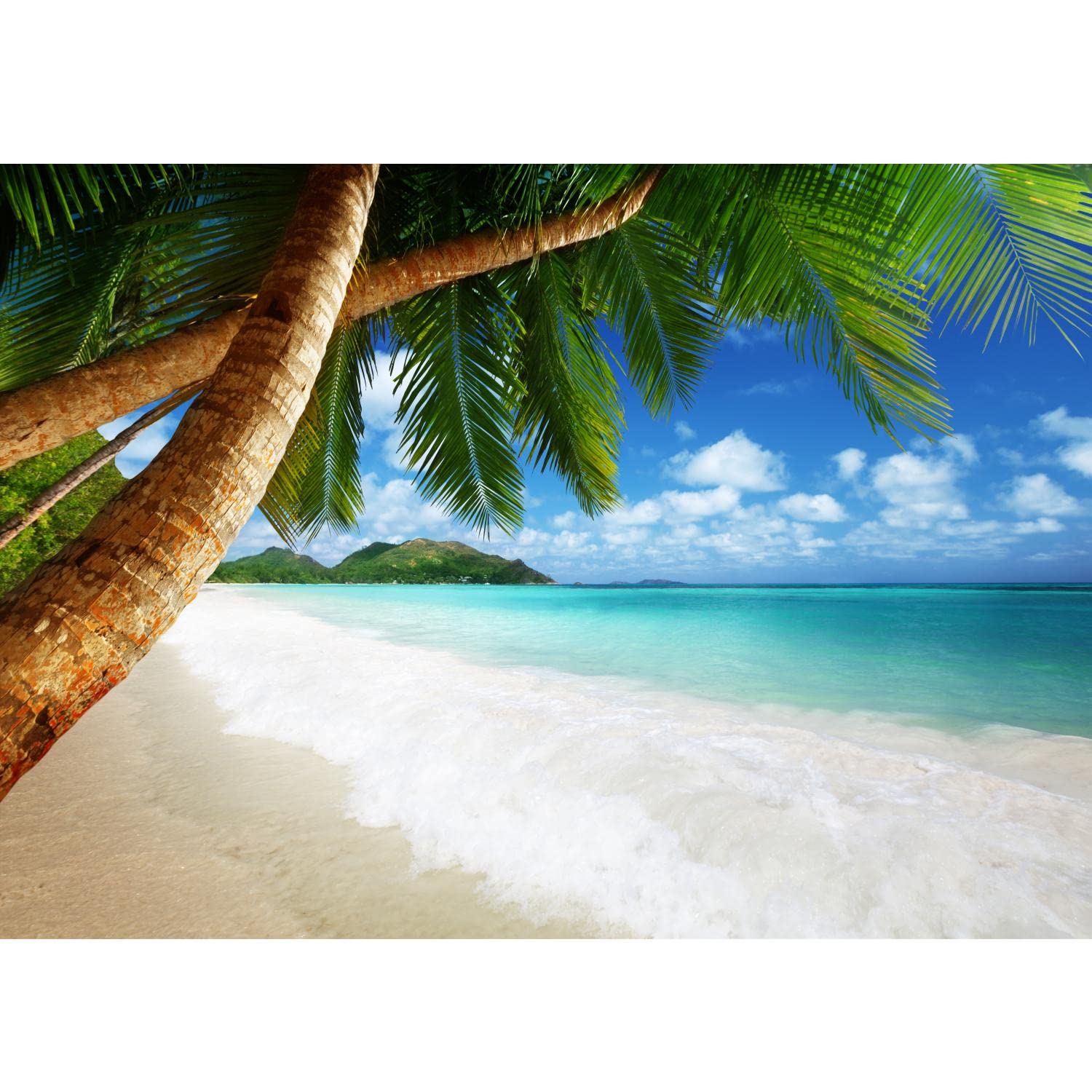 Runa Art Photo Wallpaper Beach and sea Palm Trees 352 x 250 cm Non-Woven Wall Art XXL Moderne Living Room Bedroom Green Blue 9004011b