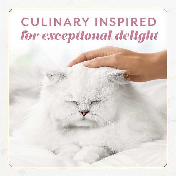 FANCY FEAST GEMS PATE CAT FOOD MOUSSE WITH SALMON AND A HALO OF SAVORY GRAVY CAT FOOD – (PACK OF 8) OZ. BOXES