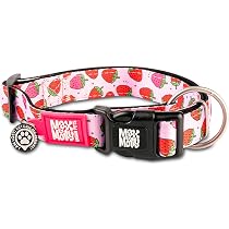 Max & Molly Soft Padded Neoprene Dog Collar w/Smart ID Gotcha! QR ...