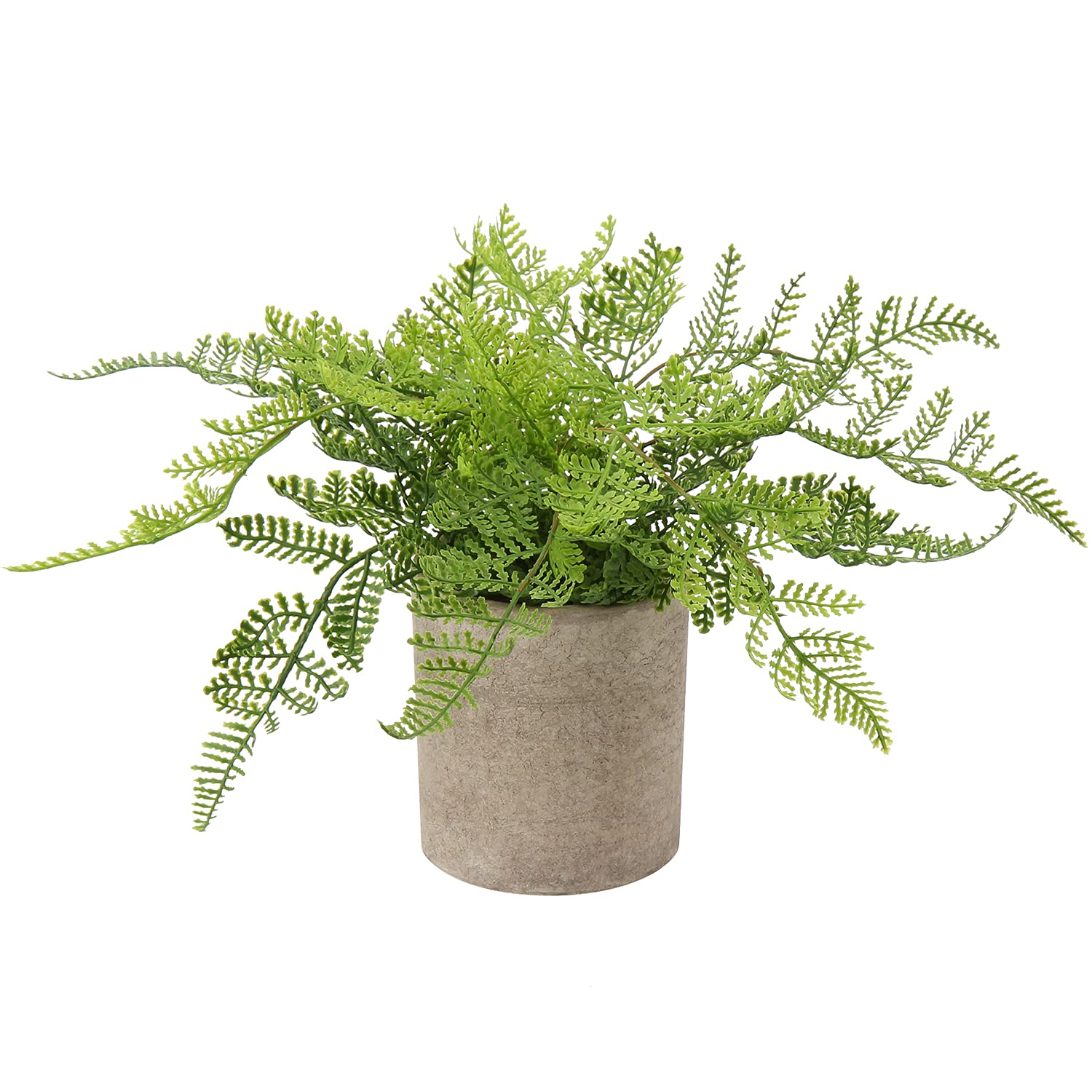 Hollyone Artificial Rabbit's Foot Fern Fern Plant in Pot, Decorative Fake Plant Indoor, Faux Grass for Home Decor Bedroom Living Room Shelf Office