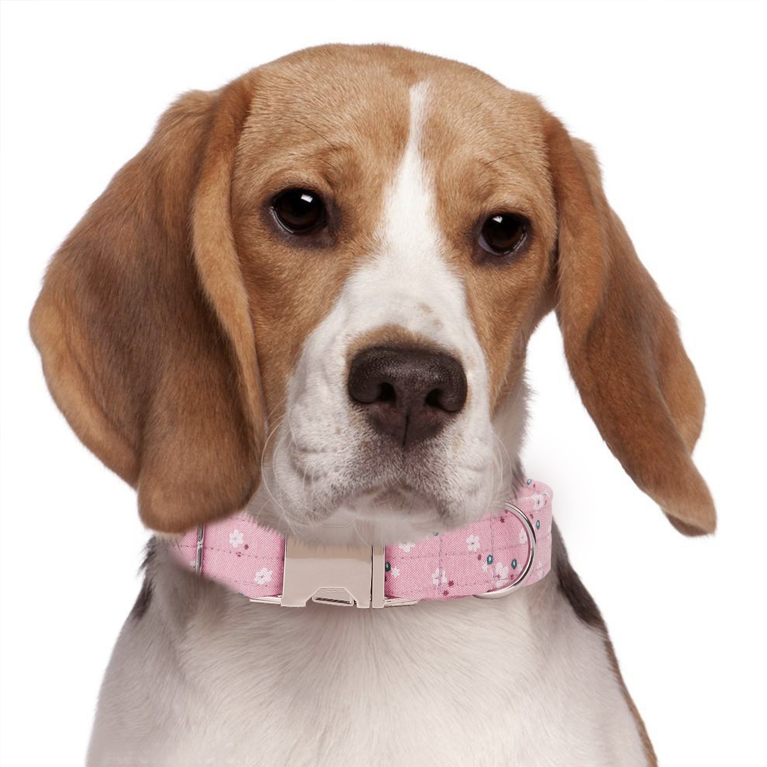 Wefine Personalized Dog Collars, Custom Engraved with Pet Name and Phone Number, Adjustable Fabric Cotton ID Collar, Neck 10\