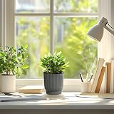 T4U Small Self Watering Plant Pots Indoor 6 Pack 11.5cm Grey Plastic view 7