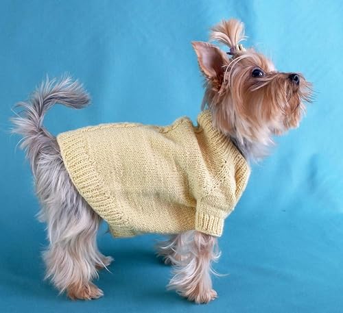 clothes for yorkshire terriers