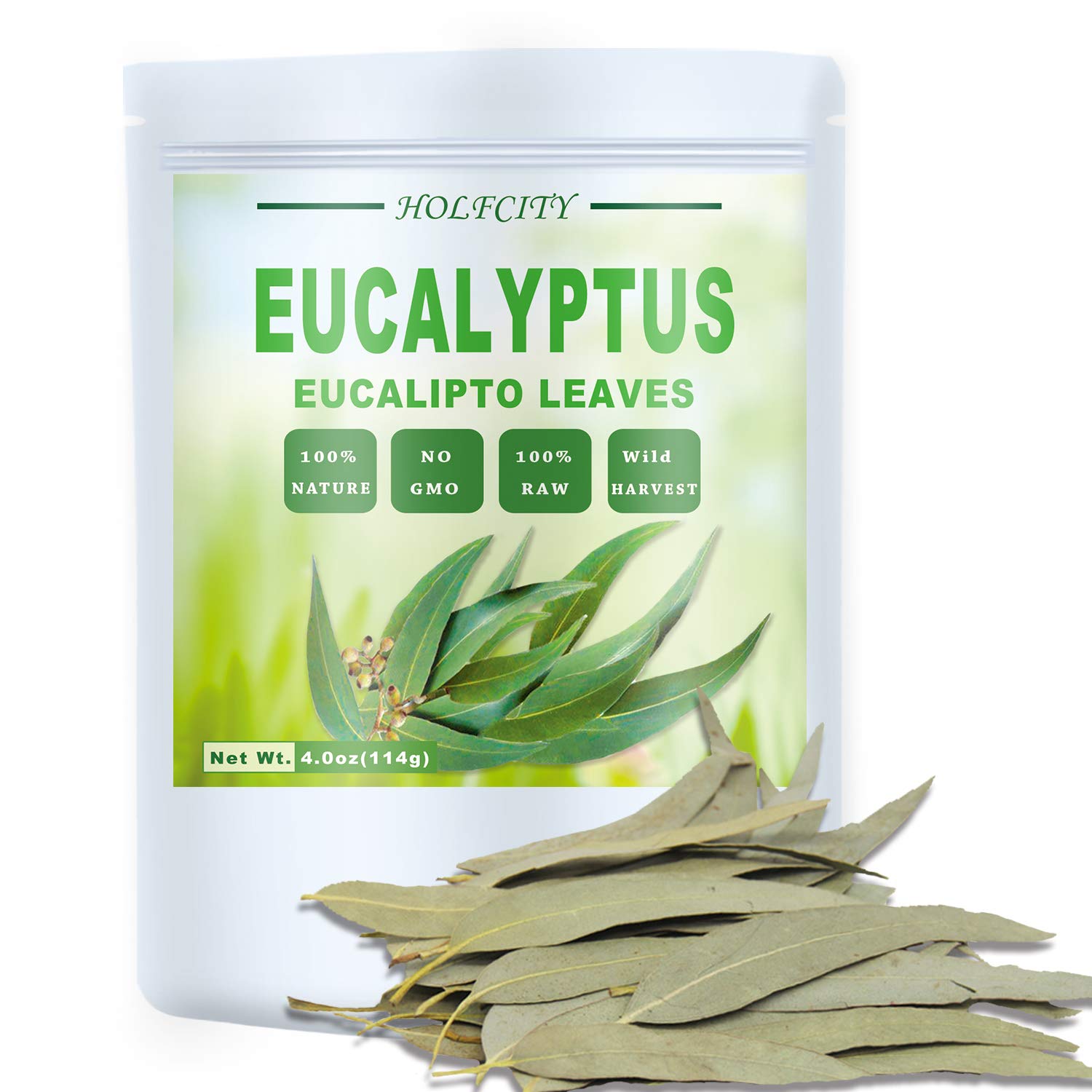 Whole Eucalyptus Leaves, Natural Eucalyptus Herb Leaves