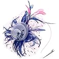 DRESHOW Fascinators Hat Flower Mesh Ribbons Feathers on a Headband and a Clip Tea Party Headwear for Girls and Women