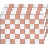 Pink and White Check Plaid Placemats Set of 4, Washable Heat Resistant Placemats Kitchen Table Mats,12x18 Inch Place Mats for Home Restaurant Farmhouse, Indoor Outdoor Party Table Decoration -A03