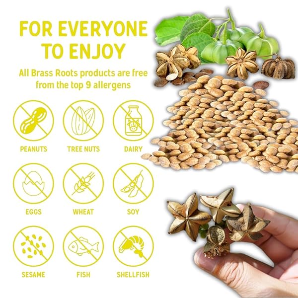 BRASS ROOTS ORGANIC ROASTED SACHA INCHI SEEDS, LIGHTLY SALTED | KETO, PALEO, ALLERGEN FREE, LOW FODMAP (12 OZ, PACK OF 1), SEEN ON SHARK TANK