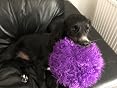 GoDog Furballz Large Purple Plush Dog Toy With Chew Guard & Squeaker