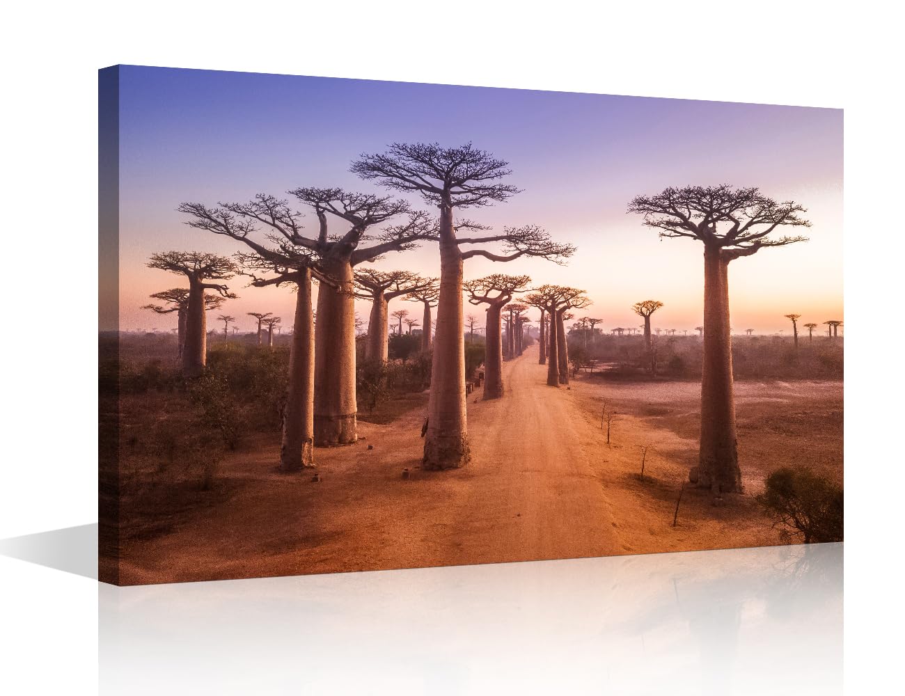 TISHIRON Canvas Wall Art for Bedroom Baobab Trees at Sunset Wall Paintings for Living Room Natural Landscape Office Modern Wall Art Pictures Print On Canvas Giclee Framed Ready to Hang, 24x16in