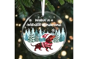 CHICOASIS Christmas Ornaments 2025 - Dachshund Christmas Decorations Weiner Dog Decor Dachshund Gifts for Women Glass Christmas Dachshund Ornament with Box
