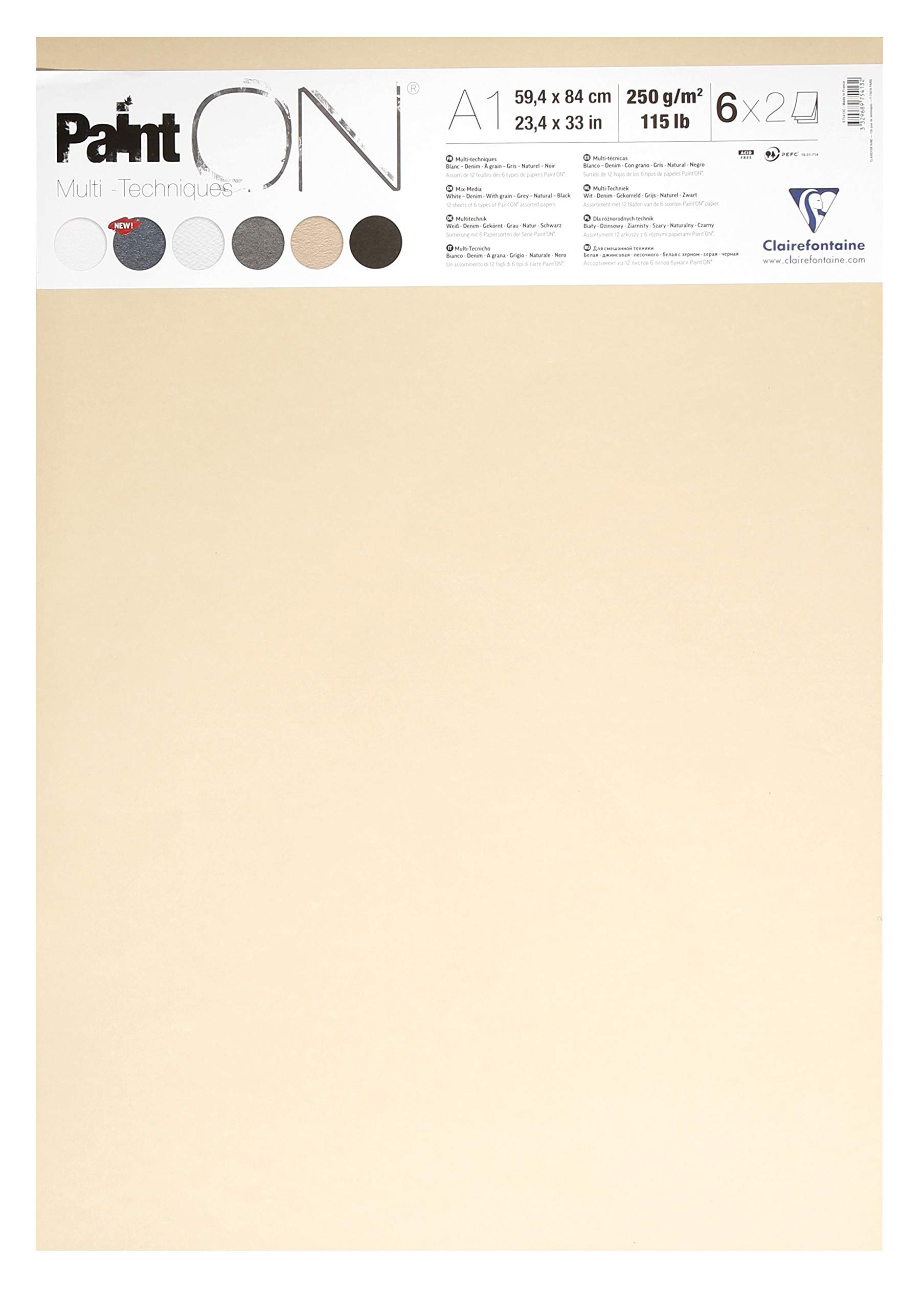 Clairefontaine - Ref 975413C - Paint'On Loose Sheets (Pack of 12 Sheets) - A1 (594 x 840mm), 250gsm Paper - Suitable for Dry & Wet Technqiues - Assorted Colours