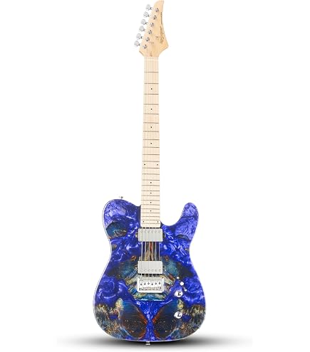 Amazon.com: Schecter Kenny Hickey Solo-6 EX S Baritone Electric