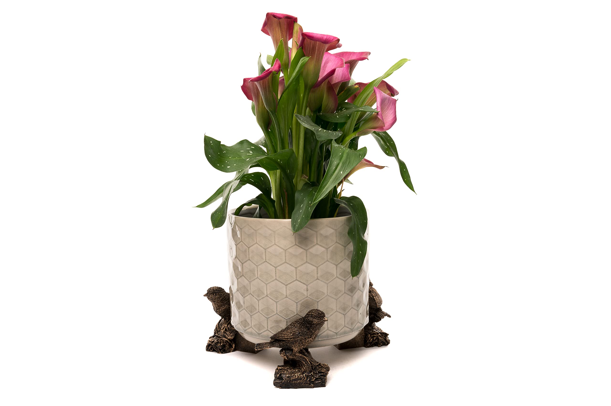 Potty Feet Bird On Log Figures Plant Pot Feet - Planter Support - 3pcs