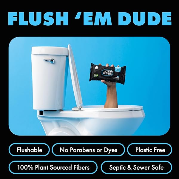 DUDE WIPES FLUSHABLE WET WIPES 48 COUNT DISPENSER, UNSCENTED WET WIPES WITH VITAMIN-E & ALOE, SEPTIC AND SEWER SAFE