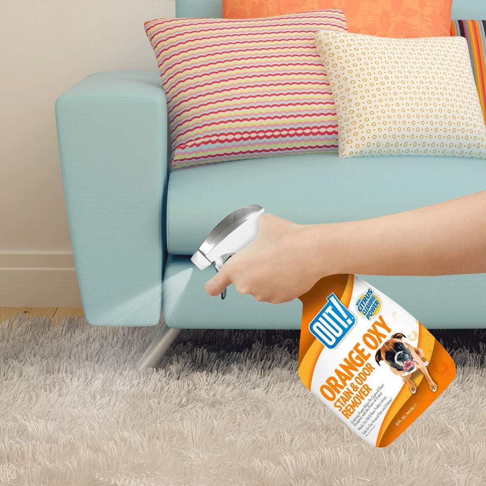 OUT! Orange Oxy Stain and Odor Remover | Pet Stain and Odor Remover | 32 Ounces : Pet Odor Eliminator : Pet Supplies