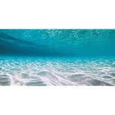 30x18 in Undersea Vinyl Aquarium Backdrop Ocean Floor Fish Tank Background