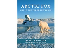 Arctic Fox: Life at the Top of the World