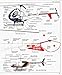 Ultimate Visual Dictionary