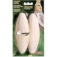 Living World Cuttlebone, Large, Twin-Pack