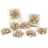 HUIHUANG Curly Bows for Gift Wrapping Champagne Gift Bow 5 inch x 8 Counts Self-Adhesive Ribbon Bows for Presents, Paper Bag, Party Favors, Wrapping Accessories, Holiday Wedding Decoration