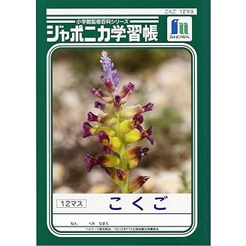 国語 Jl 8 1 8マス ショウワノート 10冊 業務用30セット 国語 Jl 8 1 8マス ショウワノート 10冊 業務用30セット