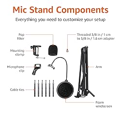 Amazon Basics Heavy-Duty Microphone Desk Arm Stand