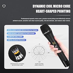 Micfuns KT900-PRO Professional KTV Wireless
